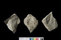 藏品(頁岩)的圖片